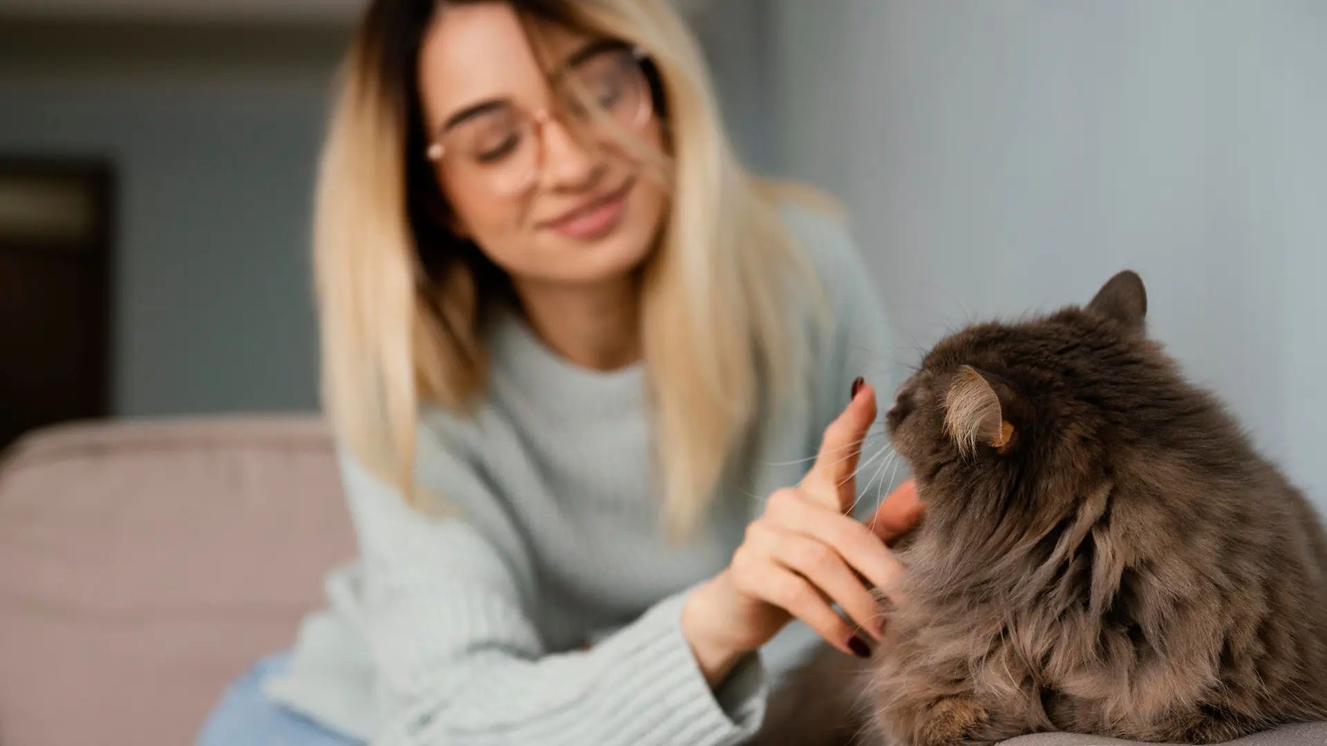 Pacjentka w okularach głaszcząca puszystego kota podczas sesji felinoterapii i animaloterapii w centrum Liberosis.