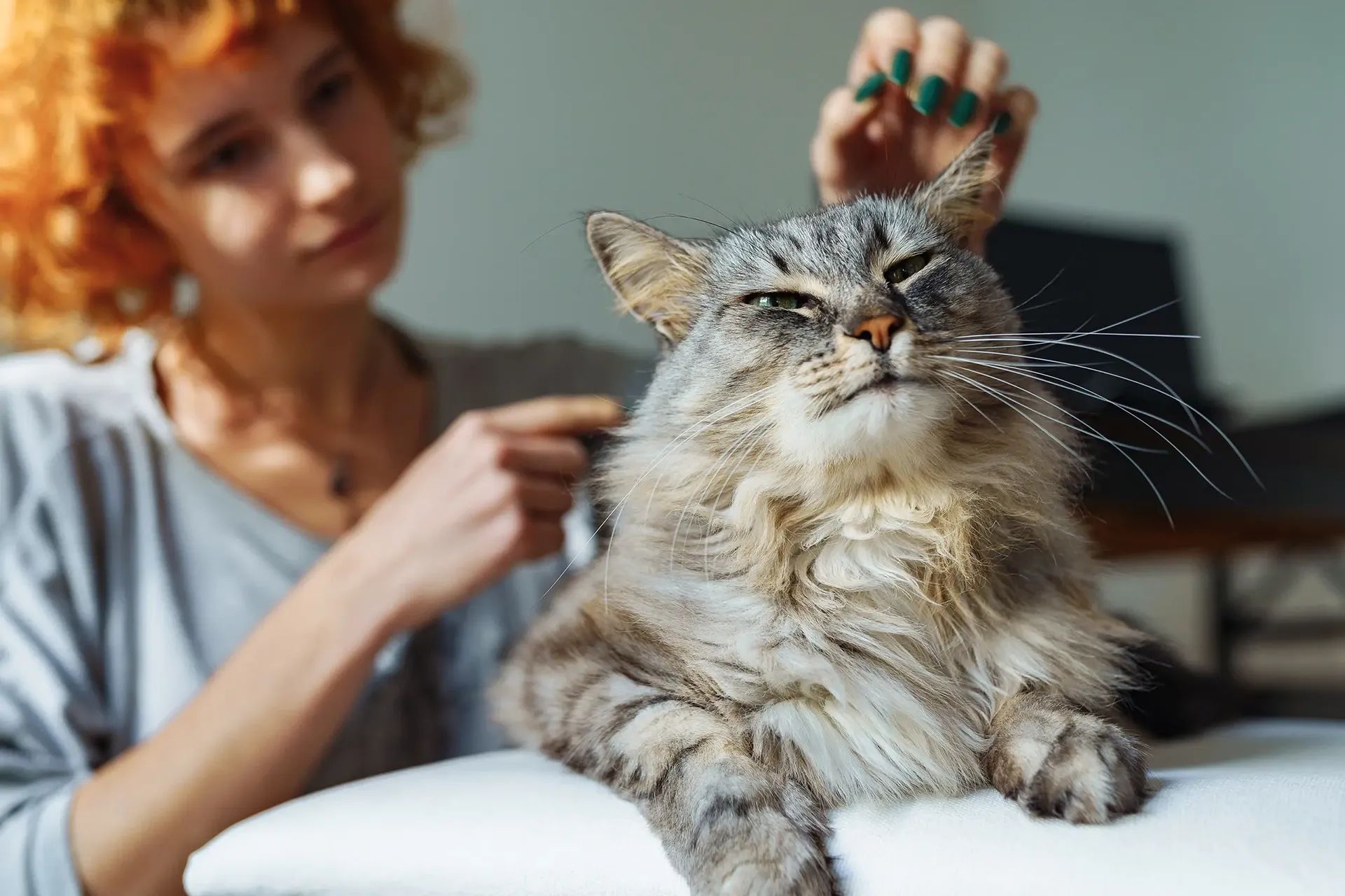 Pacjentka podczas sesji animaloterapii z puszystym kotem w centrum Liberosis Lublin.